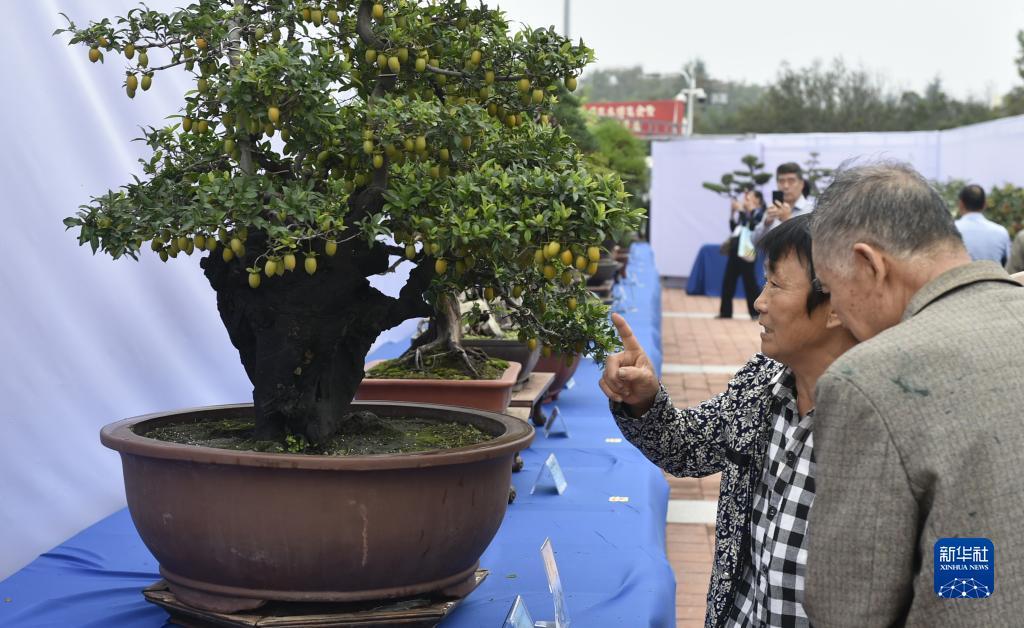 帝一娱乐平台登录网址